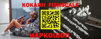 крисы Кулебаки