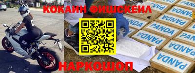 крисы Кулебаки