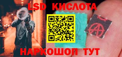 крисы Кулебаки