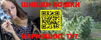 крисы Кулебаки