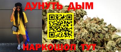 крисы Кулебаки