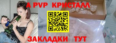 крисы Кулебаки