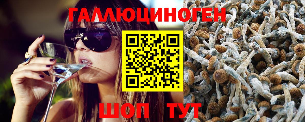 Псилоцибиновые грибы Psilocybine cubensis Ирбит